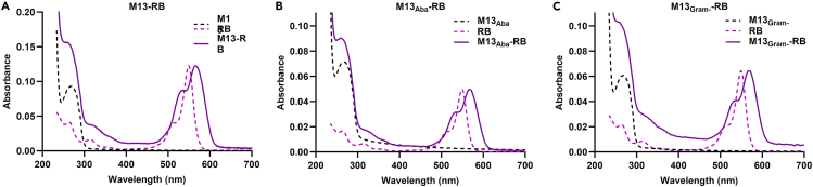 Figure 2