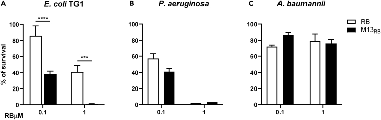 Figure 3