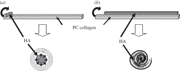 Figure 1.