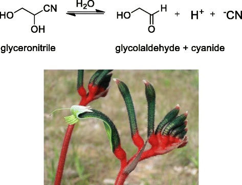 Fig. 3.