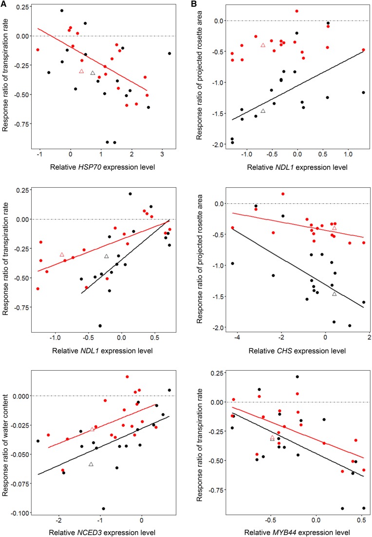 Figure 10.