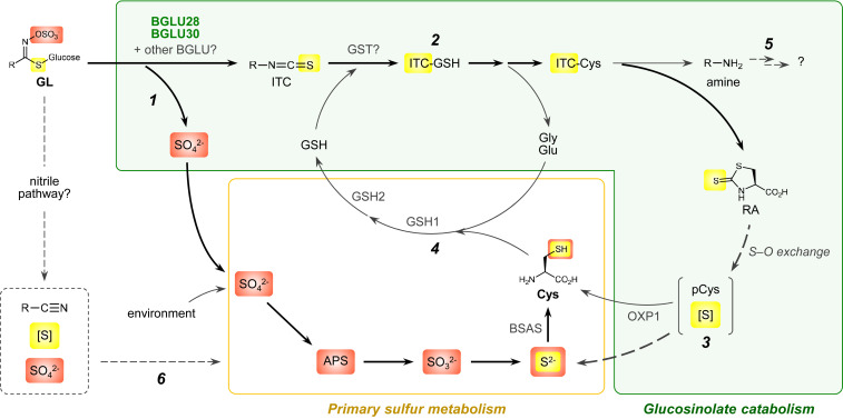 Fig. 6.