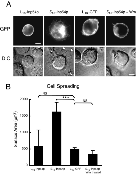 FIGURE 4.