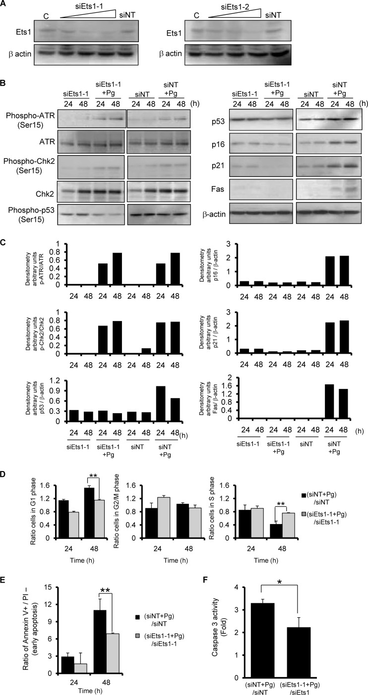 Fig 6