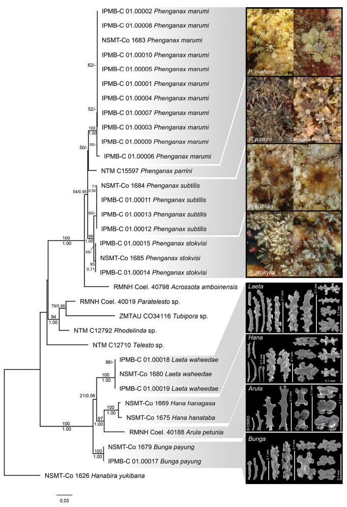 Figure 7.