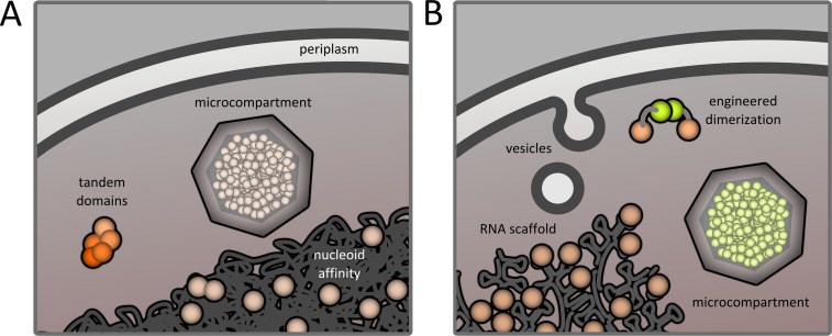 FIGURE 1: