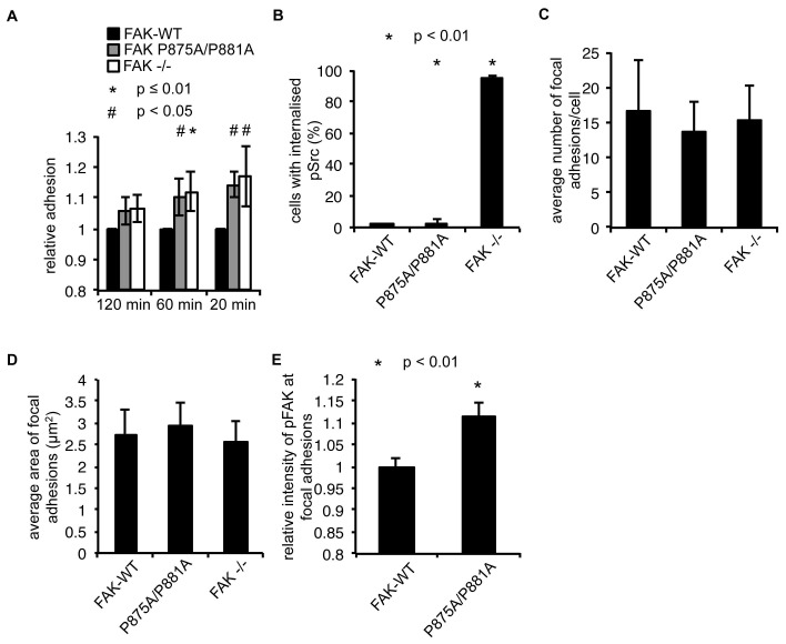 Figure 5—figure supplement 1.