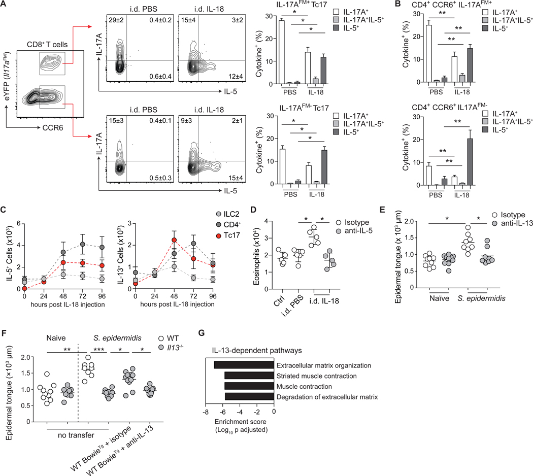 Figure 6: