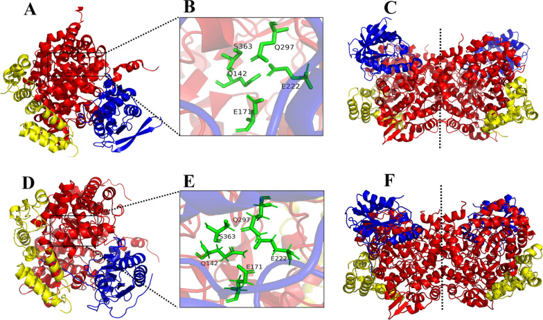 Fig. 4