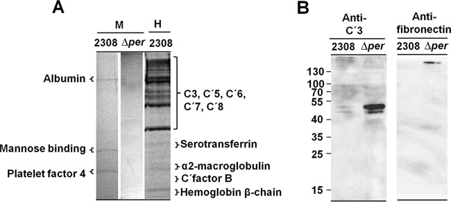 FIG 6