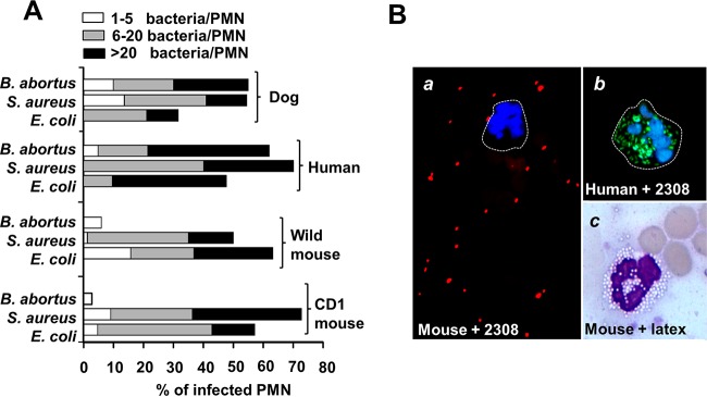 FIG 2