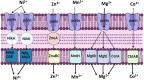 Figure 10