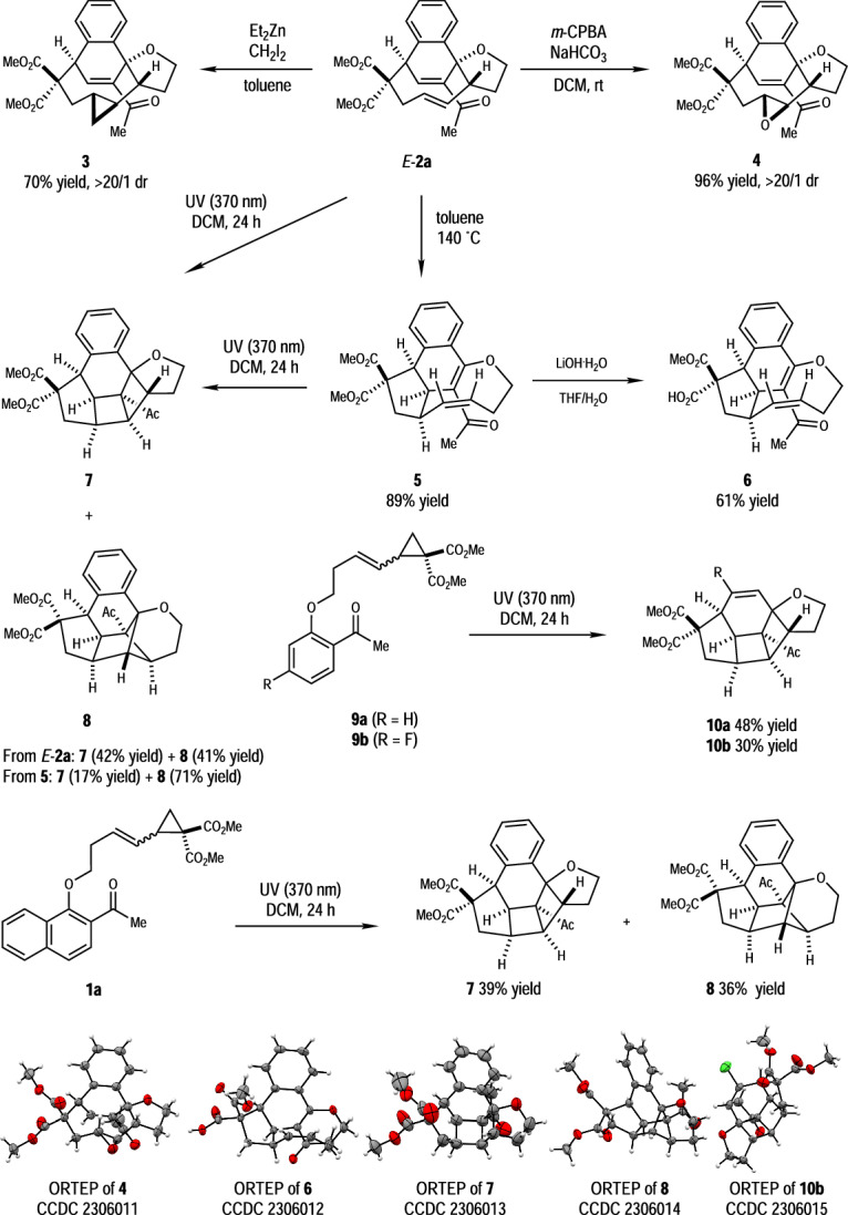 Fig. 5