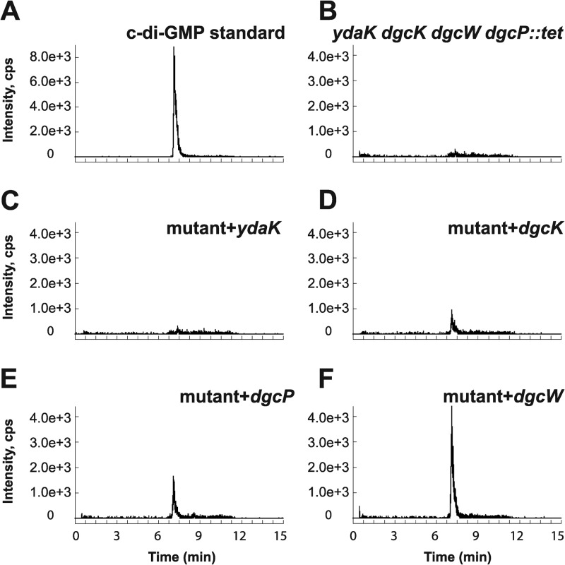 Fig 4