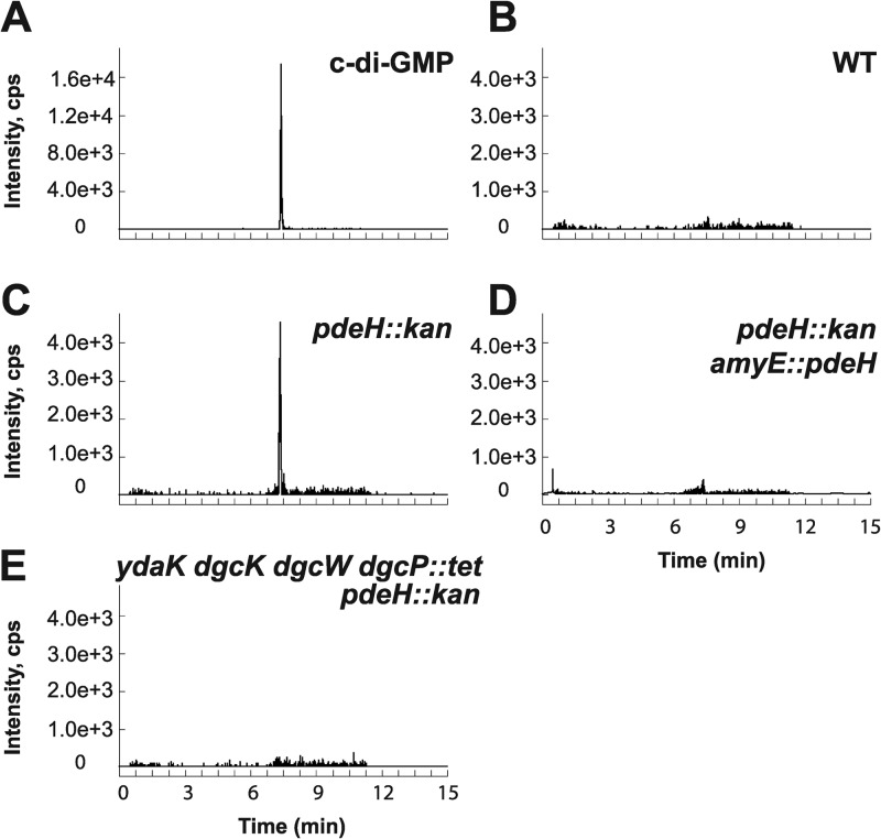 Fig 5