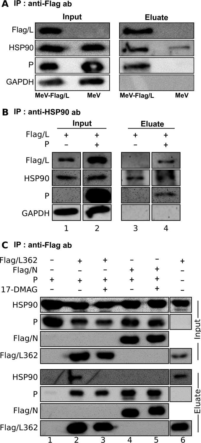 FIG 6