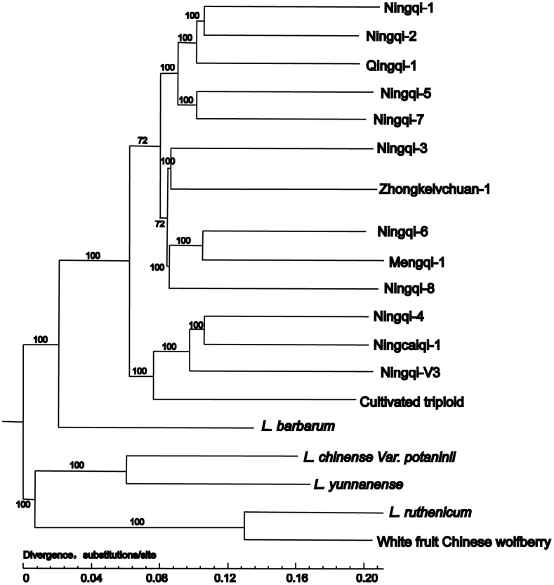 Fig. 1.