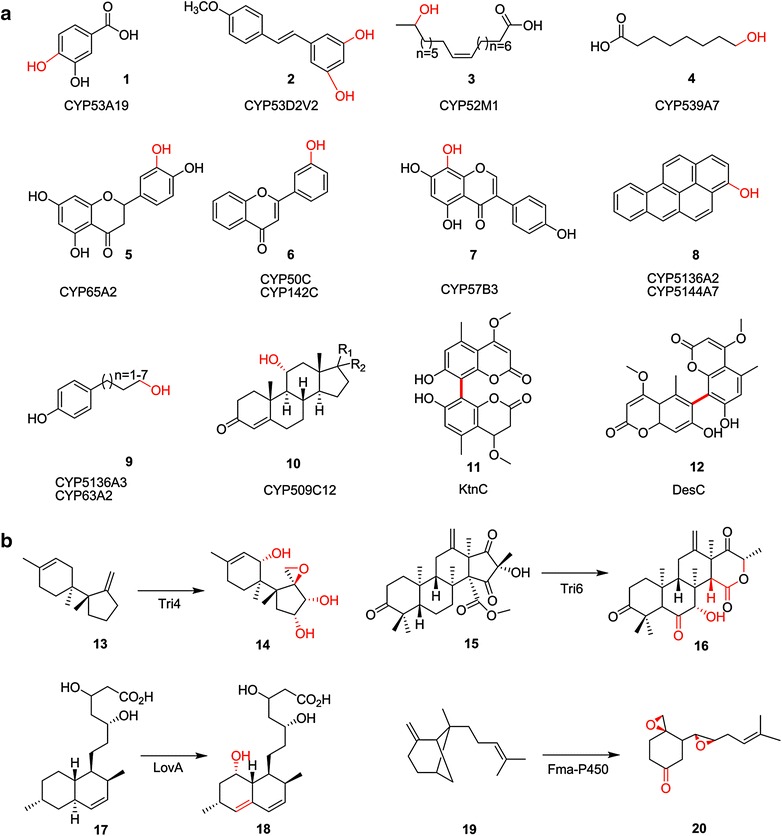 Fig. 3