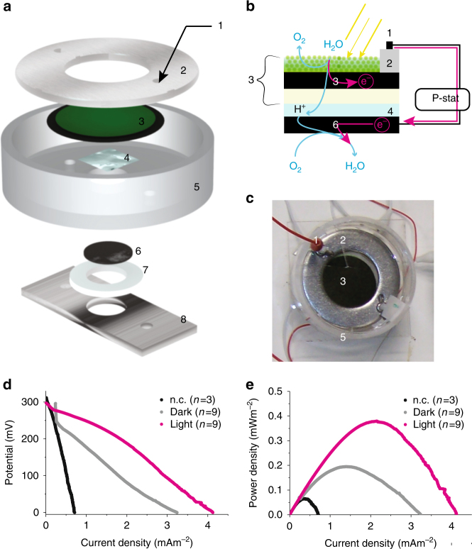 Fig. 2