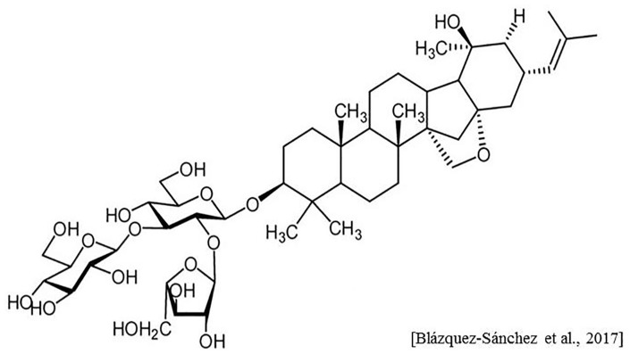 Figure 3.