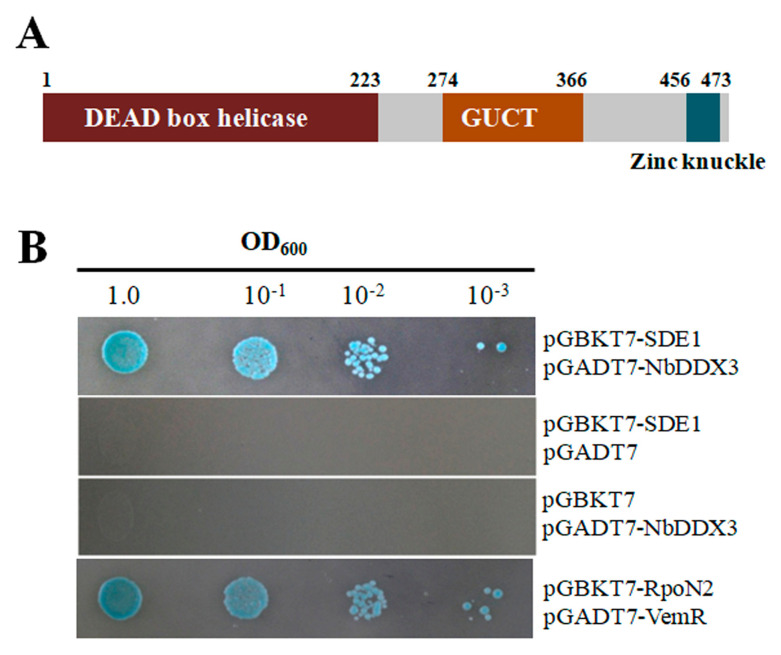 Figure 2