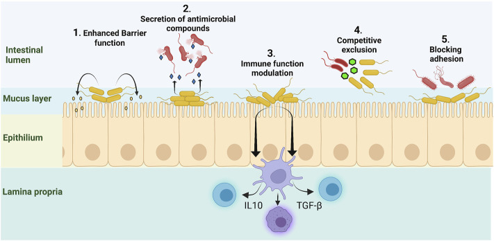 FIGURE 2