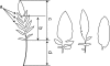 F<sc>ig</sc>. 1.