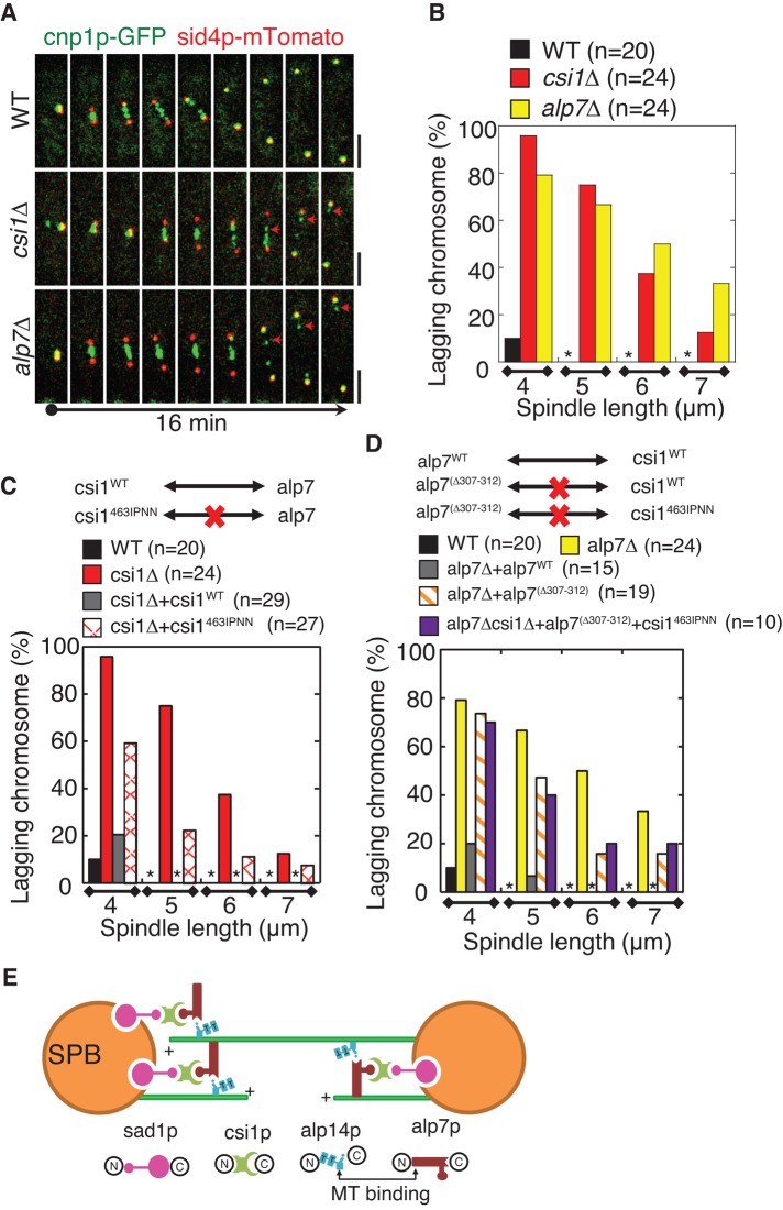 FIGURE 6: