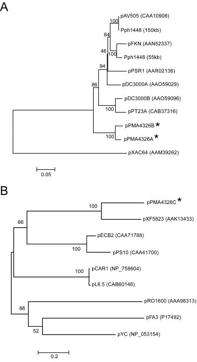 FIG. 2.