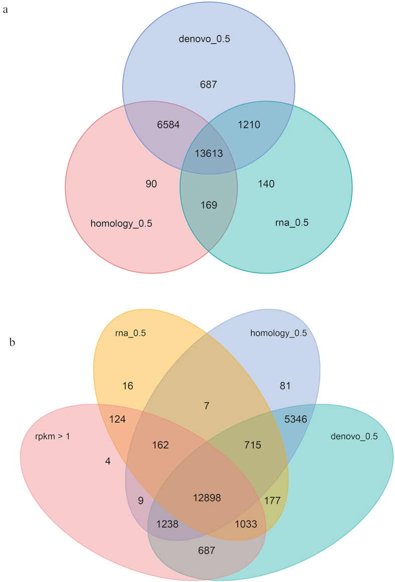 Figure 3: