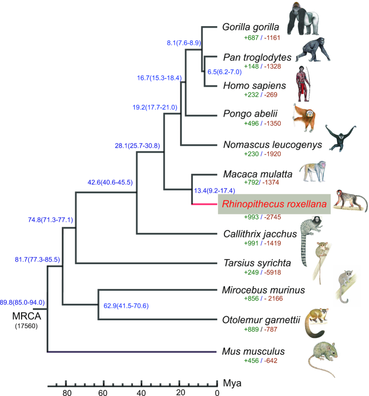 Figure 4: