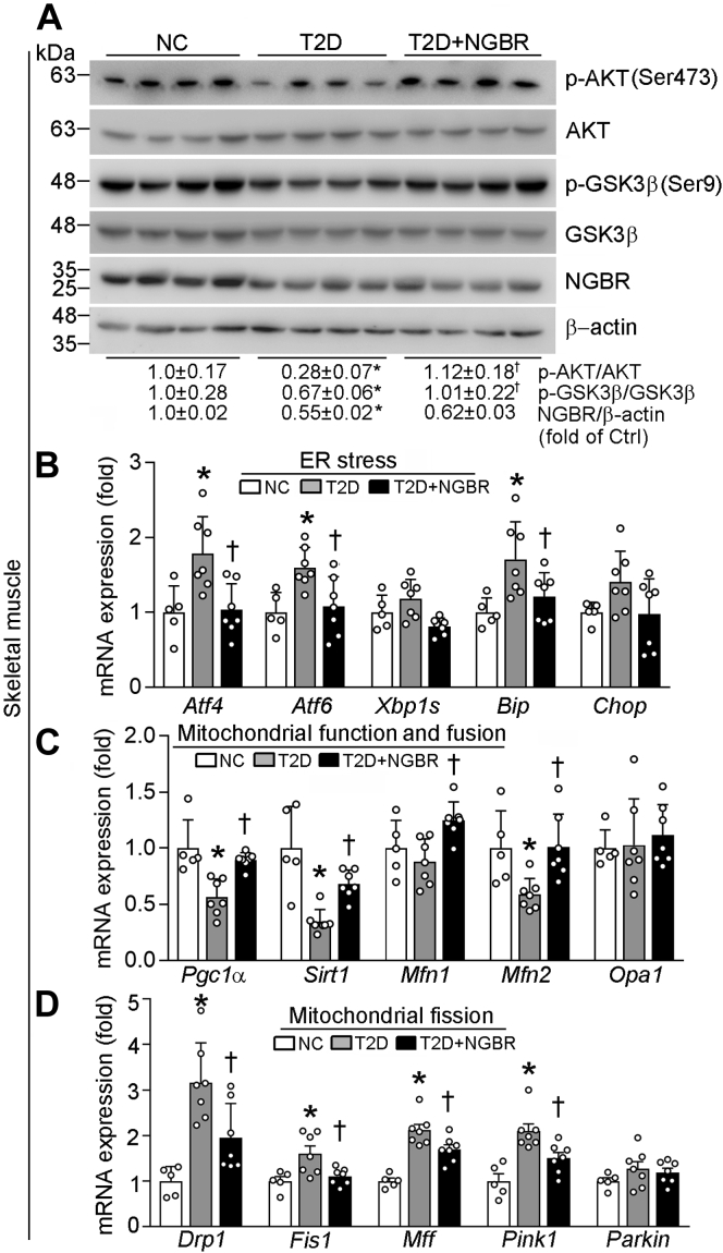 Figure 7