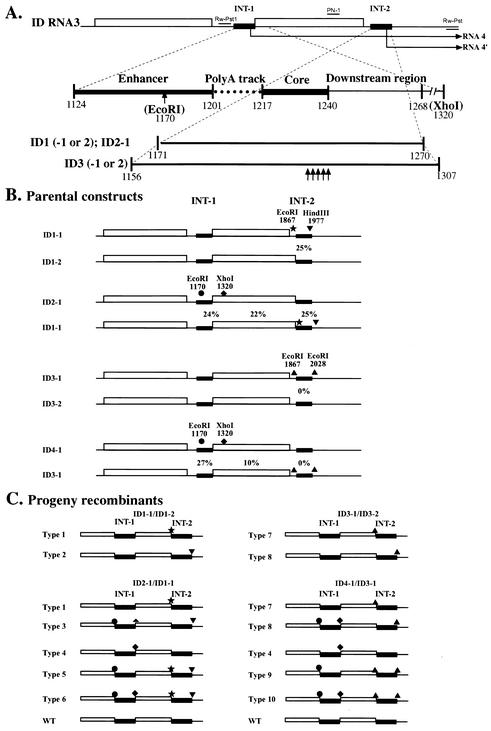 FIG. 1.