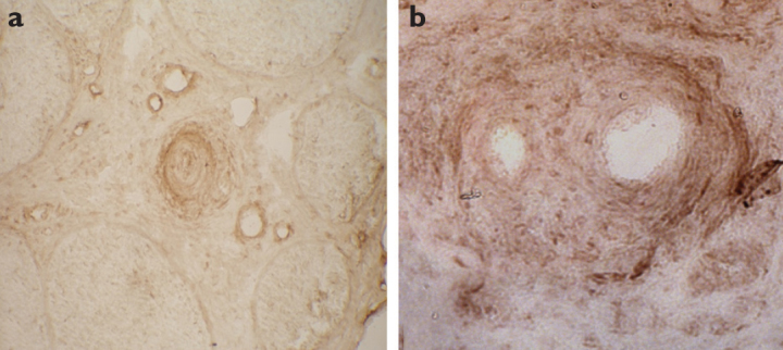 Figure 1. a, b