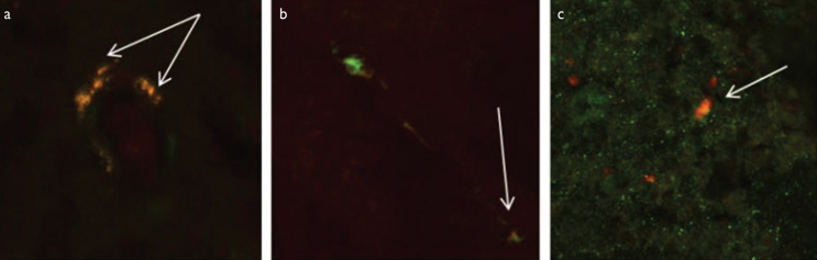 Figure 3. a–c