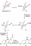 Scheme 1