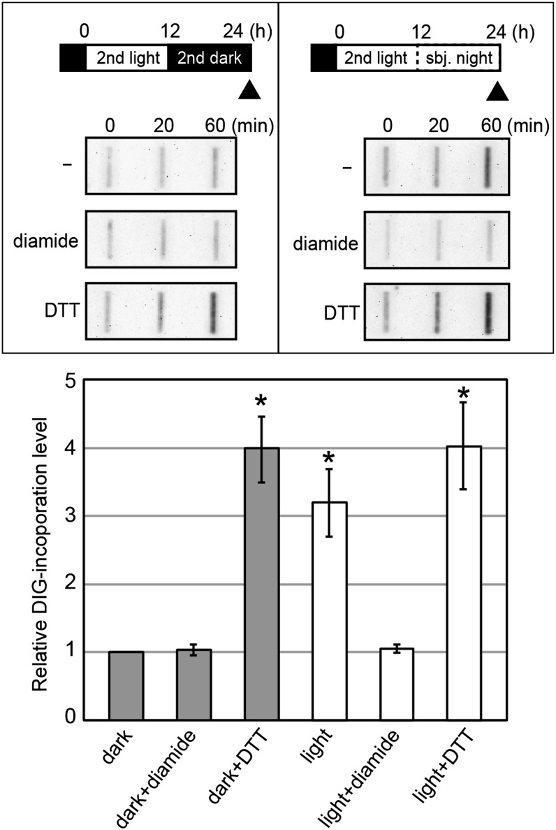 Figure 7.