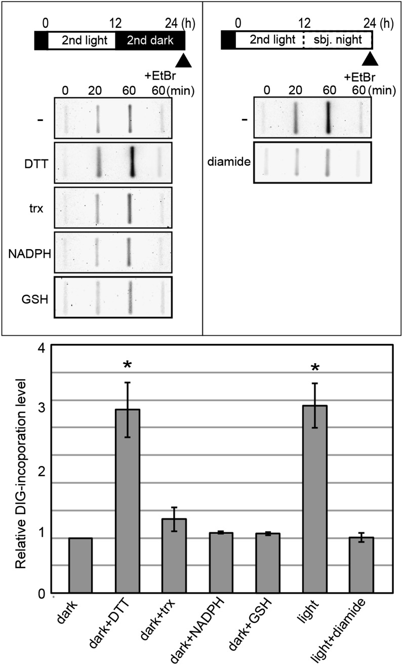 Figure 6.