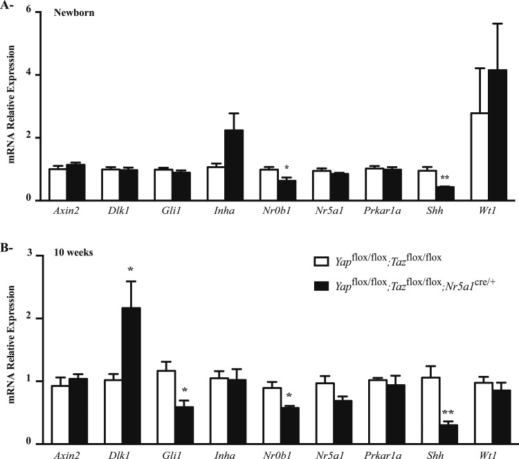 Figure 10.