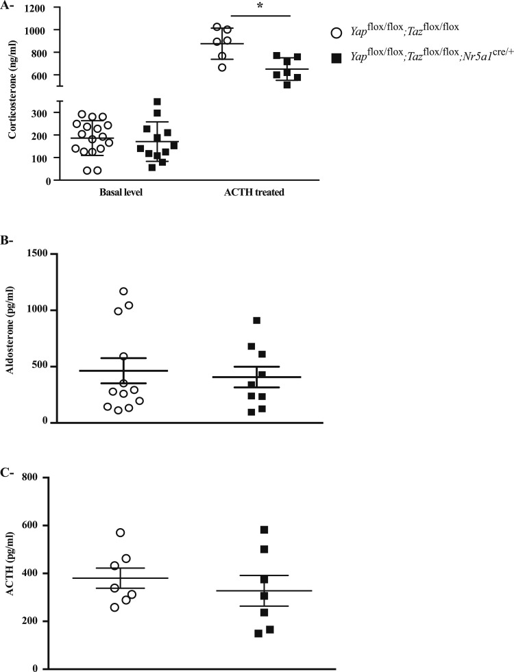 Figure 7.