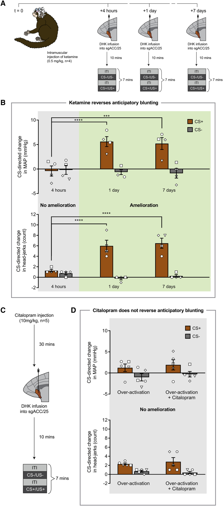 Figure 6