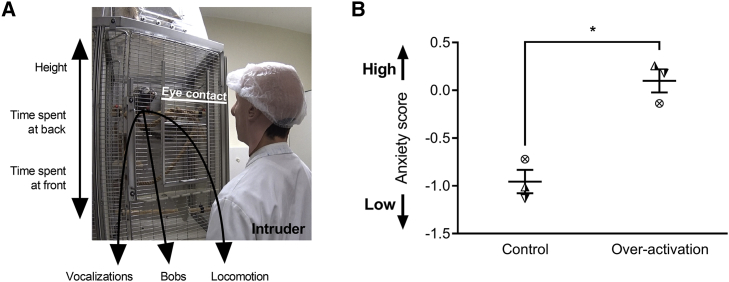 Figure 4