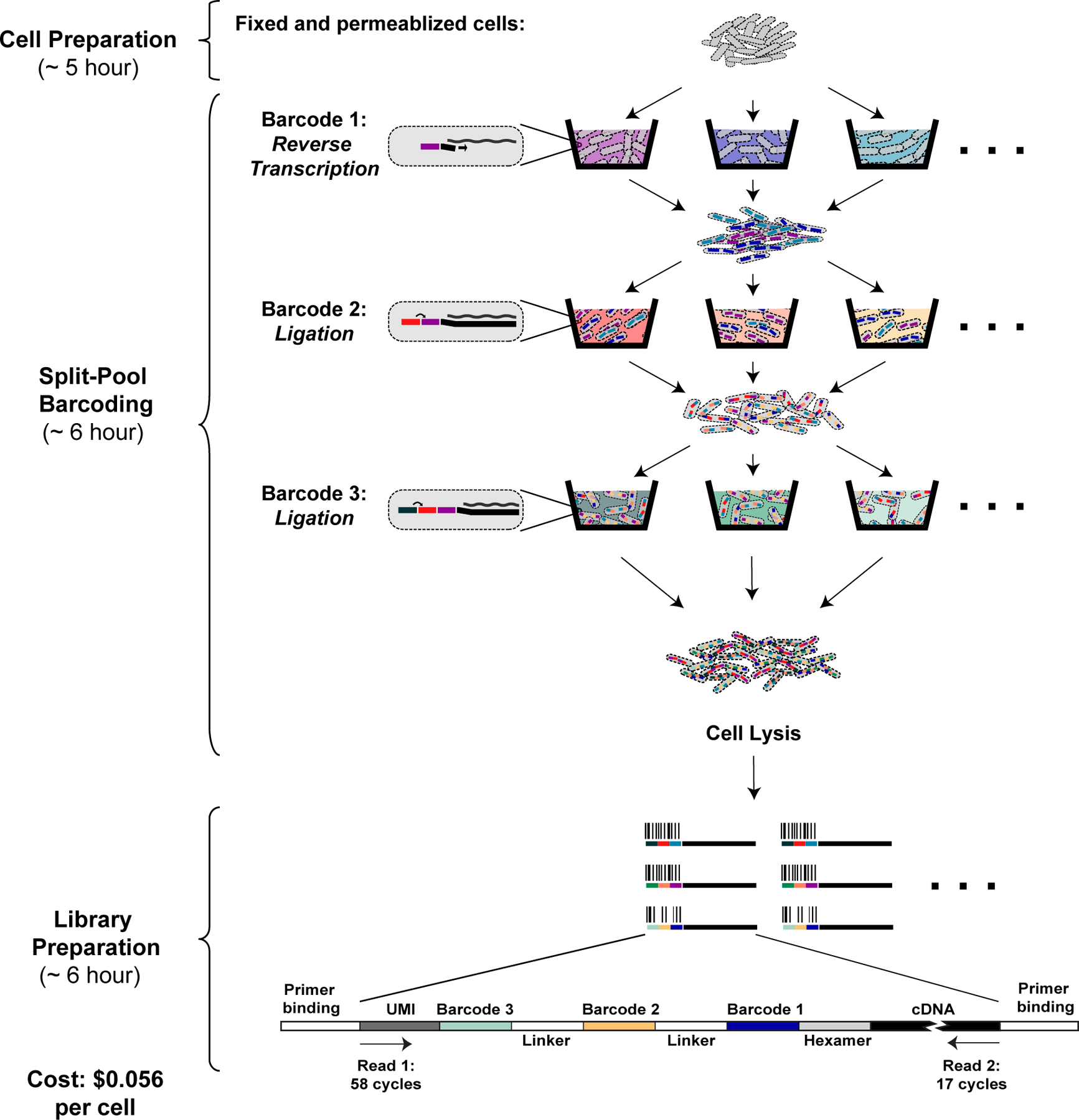 Figure 1: