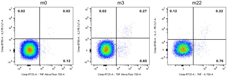 Figure 2