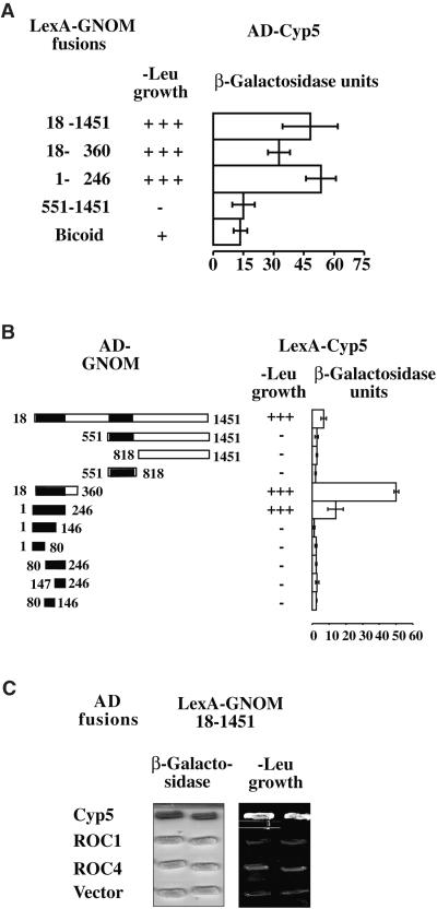 Figure 4.