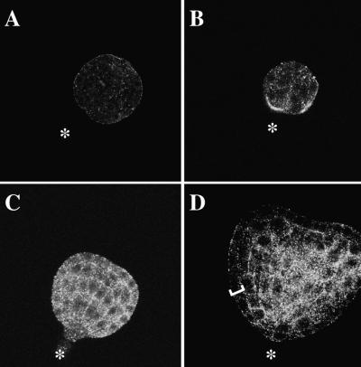 Figure 9.