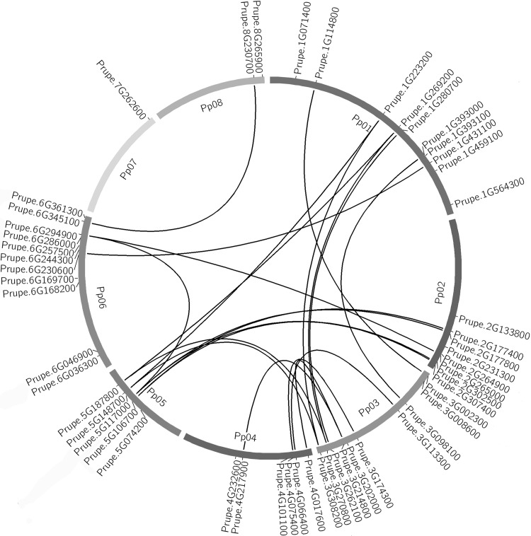 Fig. 2