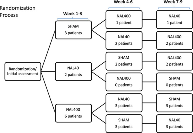 FIGURE 1