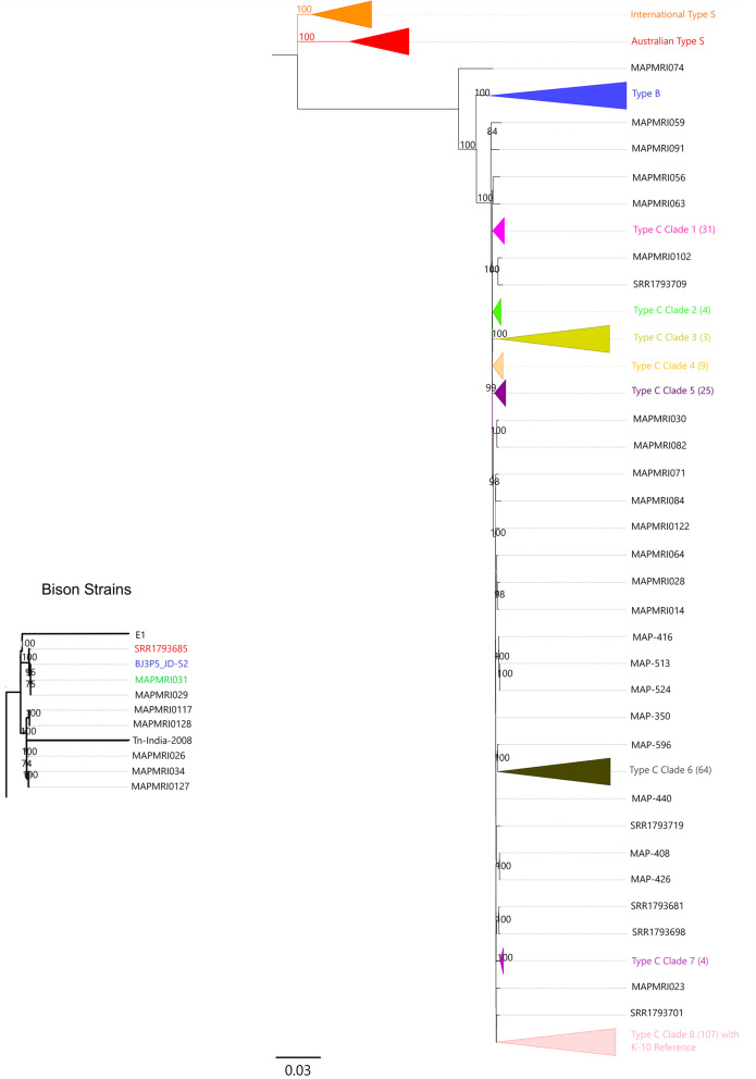 Fig. 3