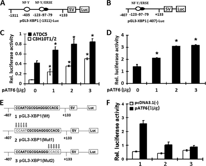 FIGURE 4.